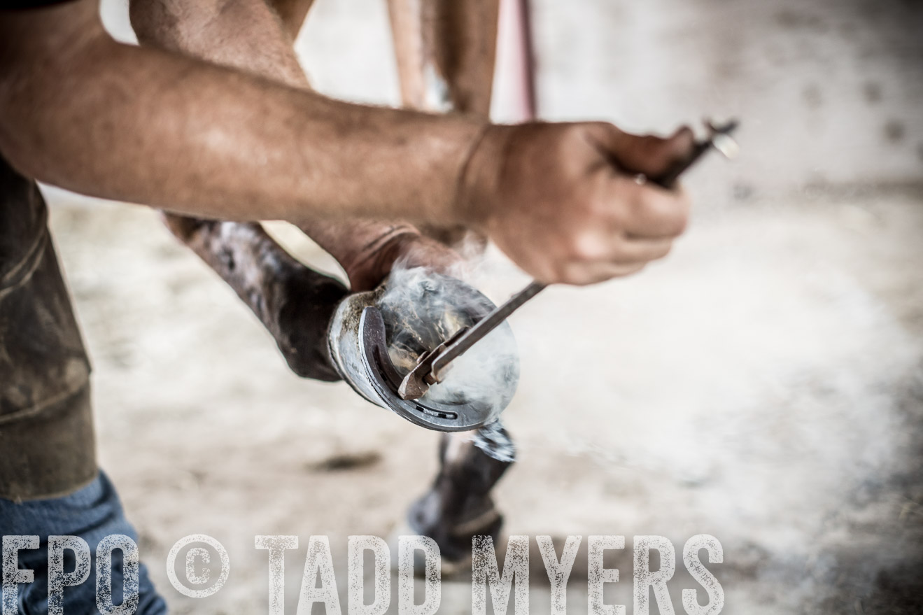 TMyers_CameronTX_June2016-1951