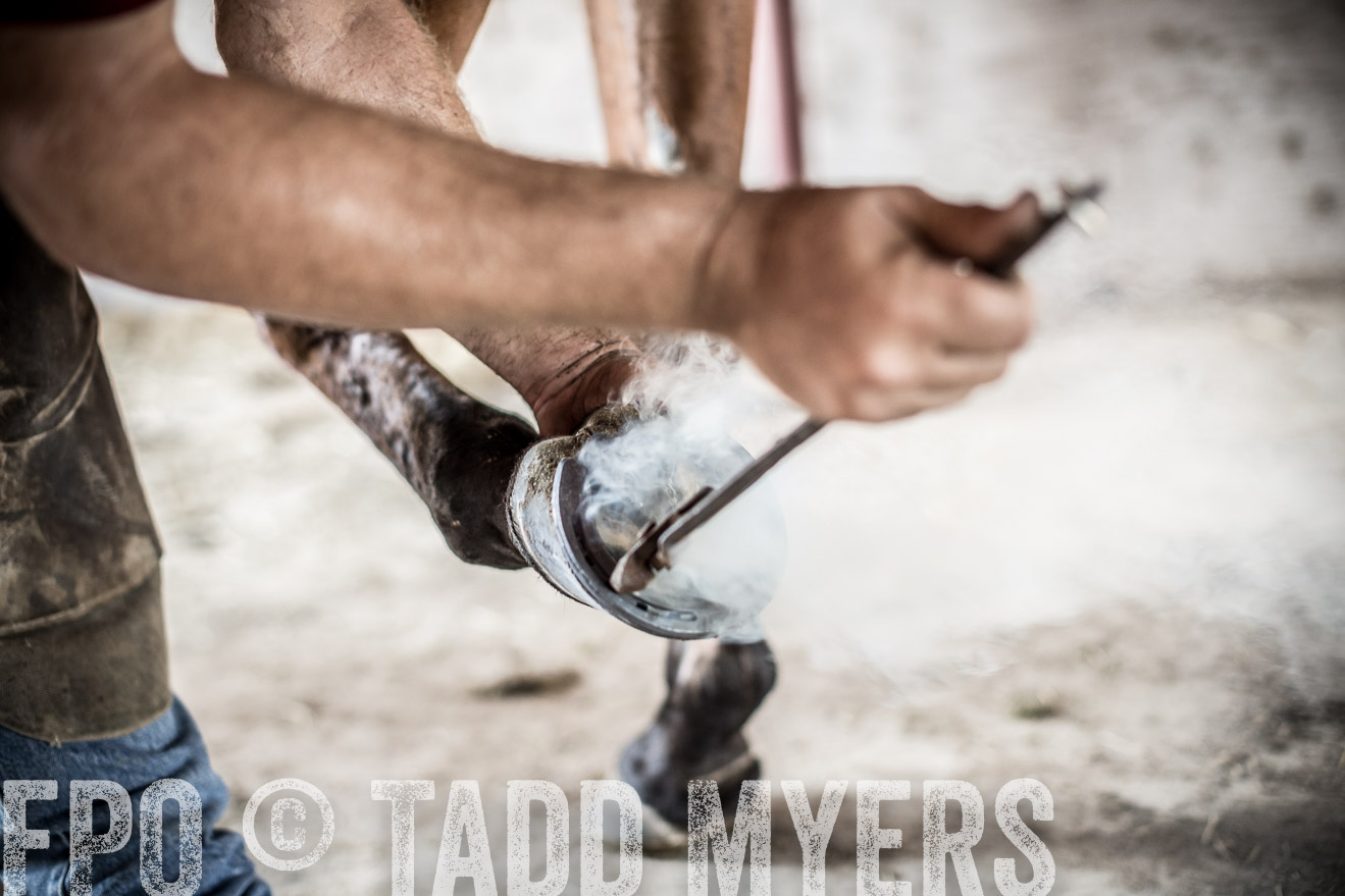 TMyers_CameronTX_June2016-1952
