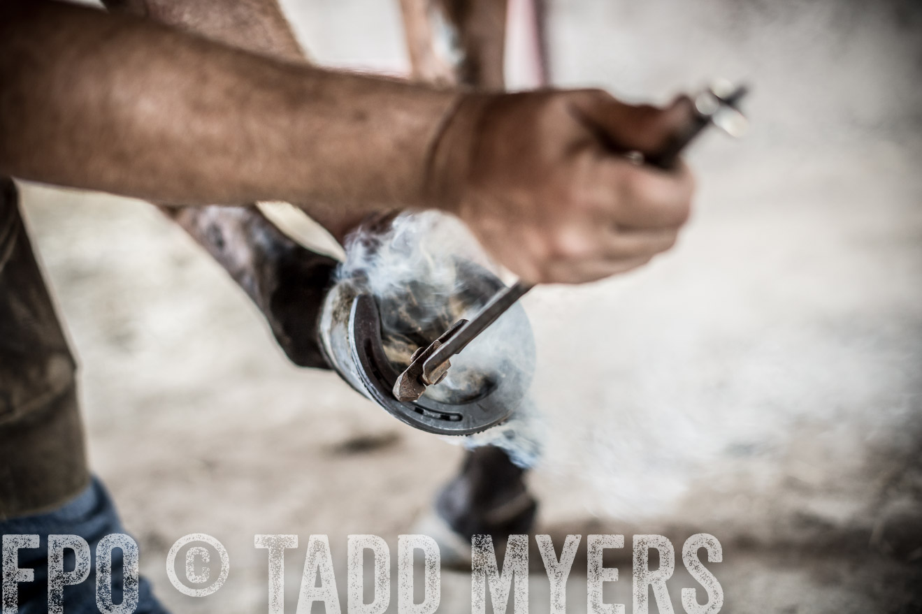 TMyers_CameronTX_June2016-1956