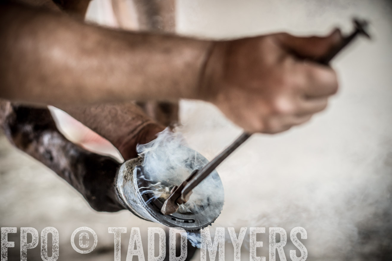 TMyers_CameronTX_June2016-1968