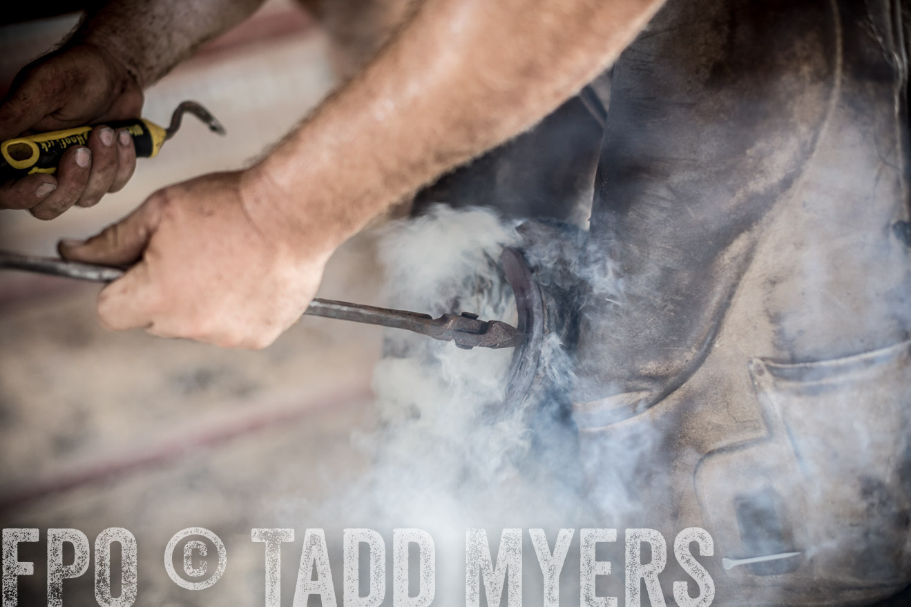 TMyers_CameronTX_June2016-1979