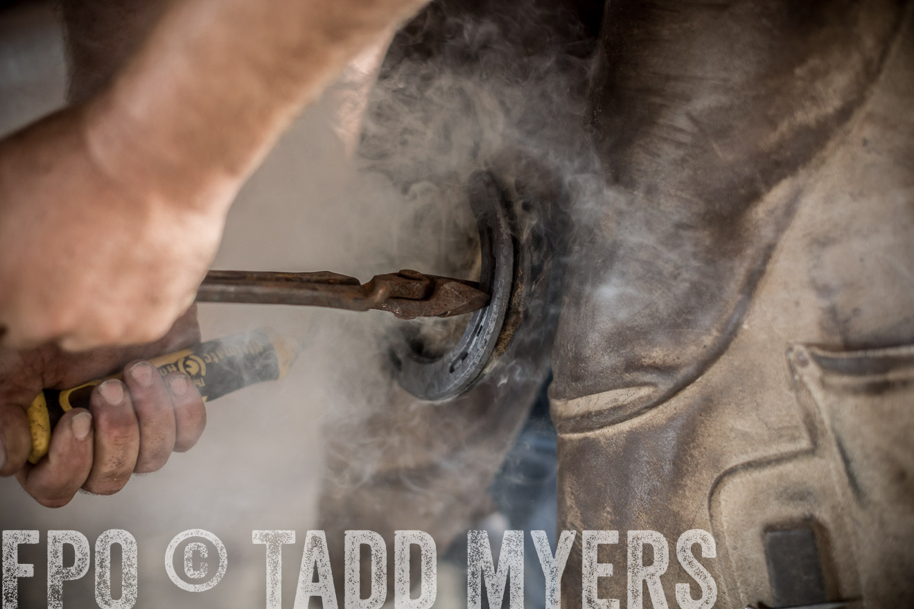 TMyers_CameronTX_June2016-2002