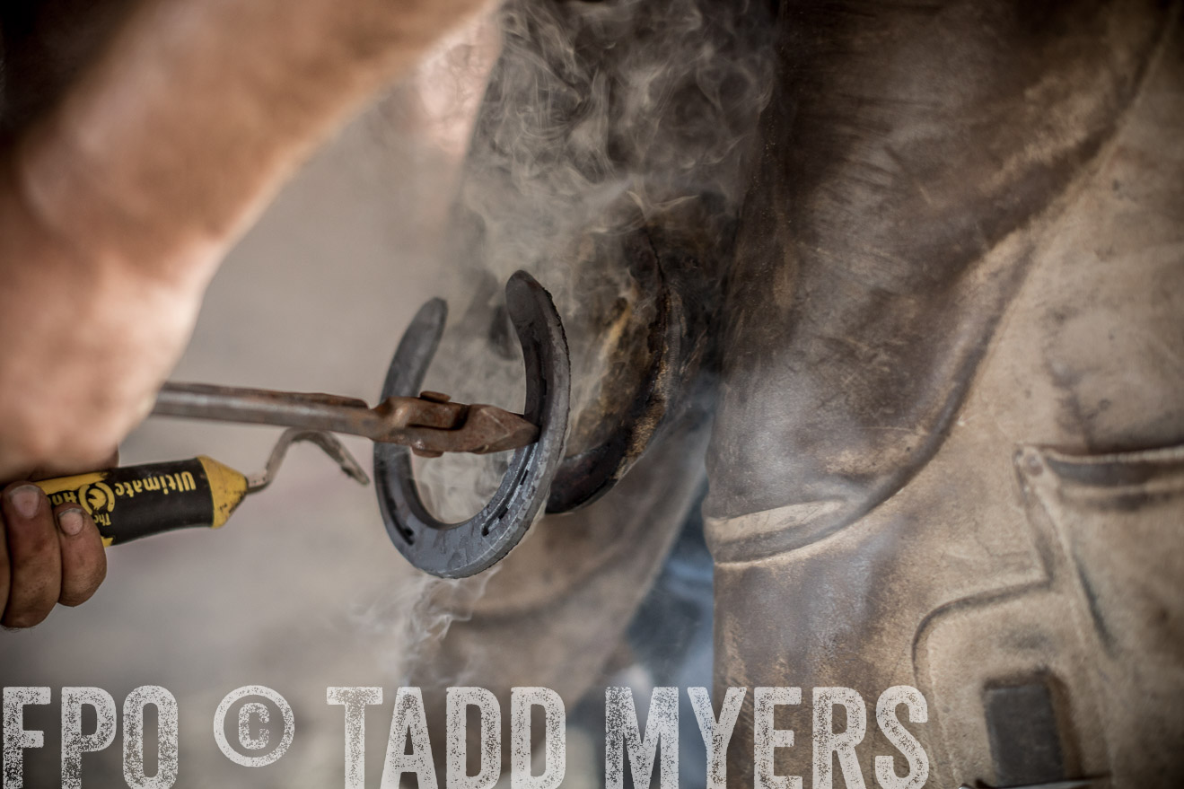 TMyers_CameronTX_June2016-2003