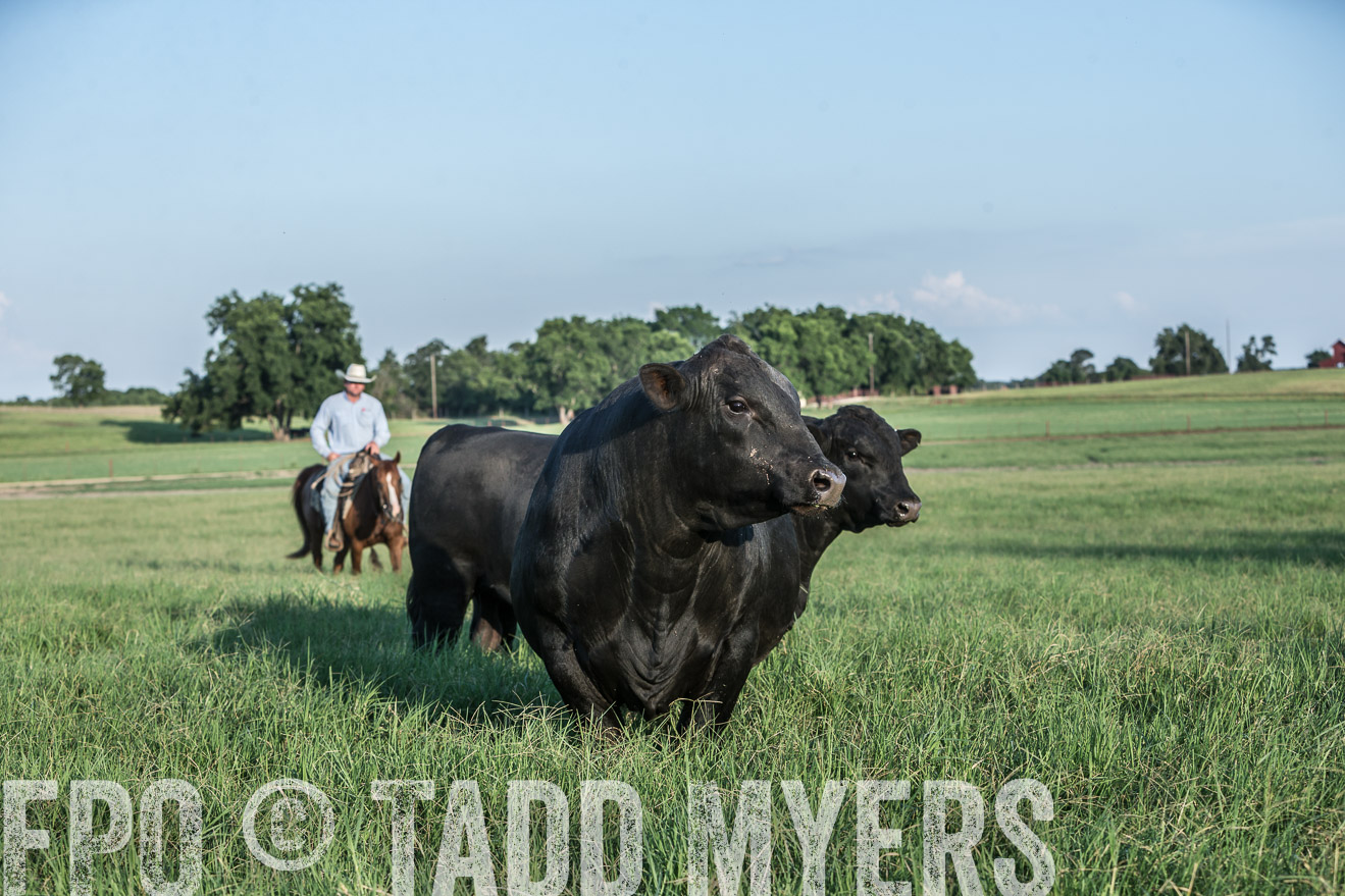 TMyers_CameronTX_June2016-2955