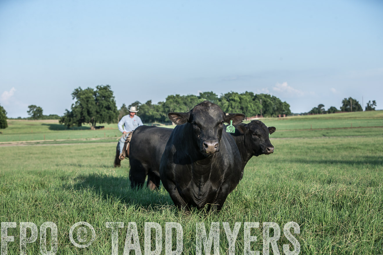 TMyers_CameronTX_June2016-2958