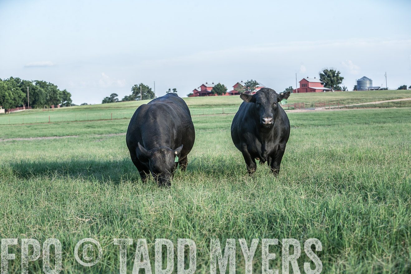 TMyers_CameronTX_June2016-3009