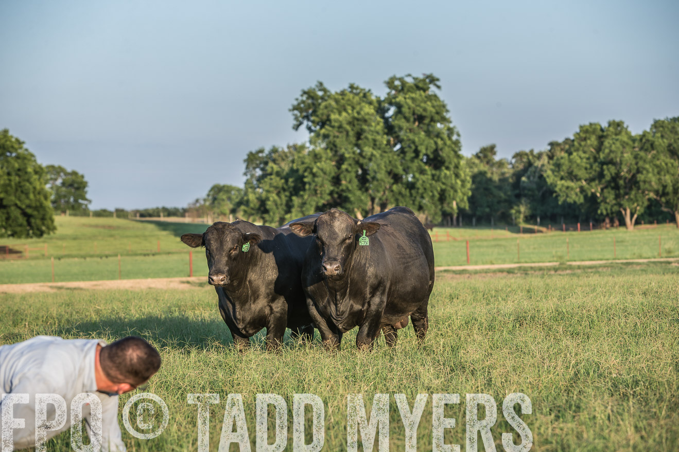 TMyers_CameronTX_June2016-3240