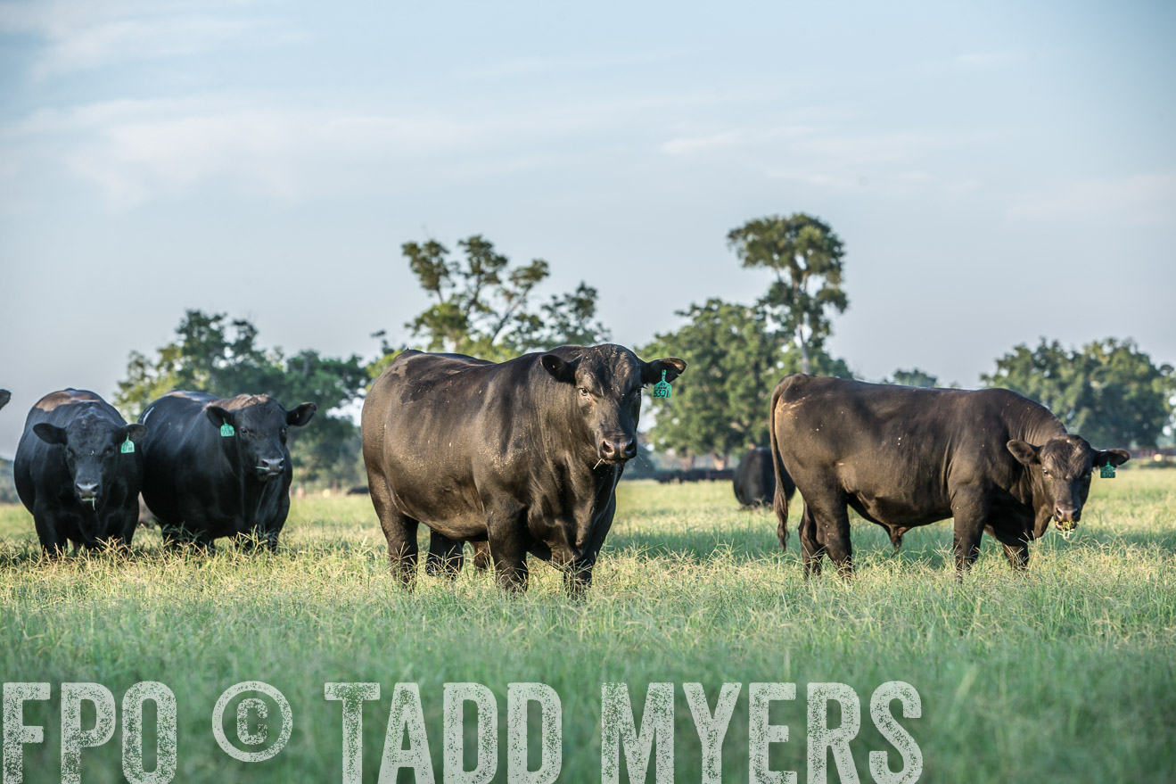 TMyers_CameronTX_June2016-3402
