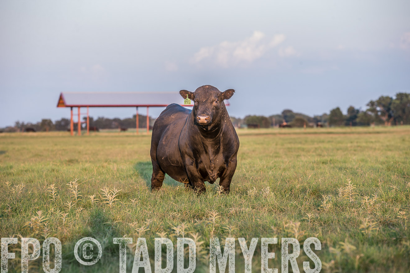TMyers_CameronTX_June2016-3500