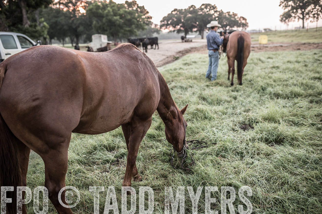 TMyers_CameronTX_June2016-5390