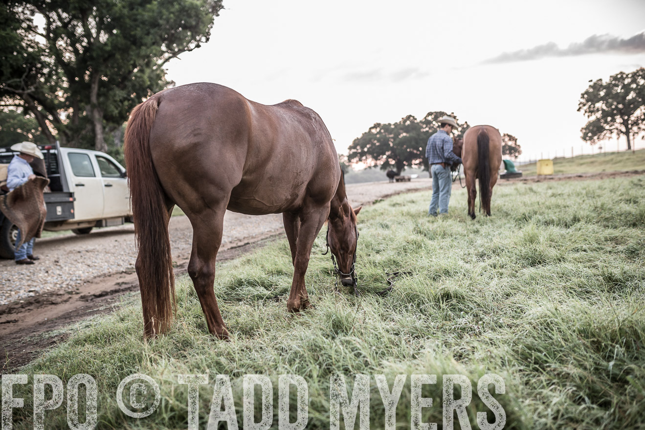 TMyers_CameronTX_June2016-5391