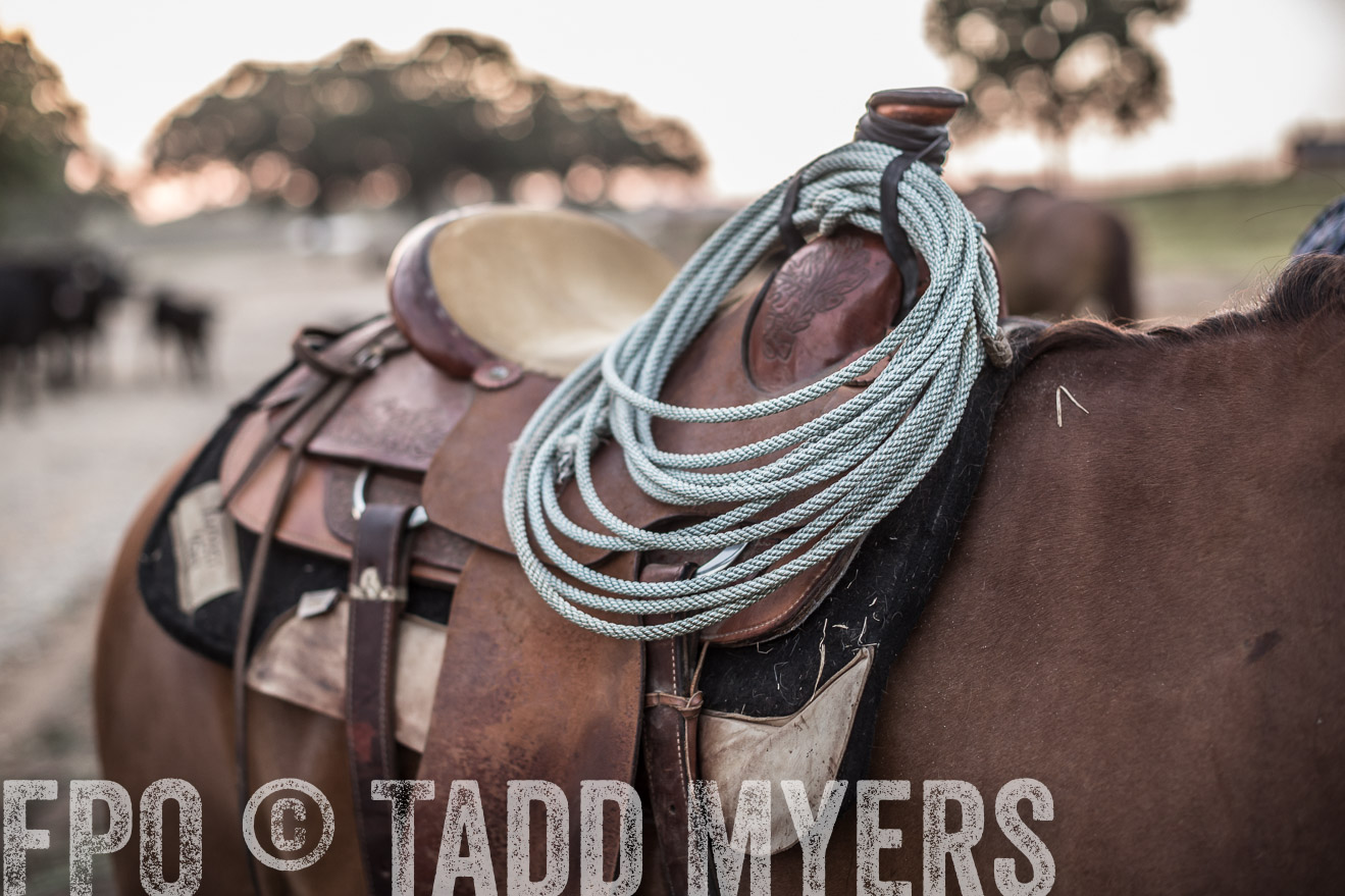 TMyers_CameronTX_June2016-5651