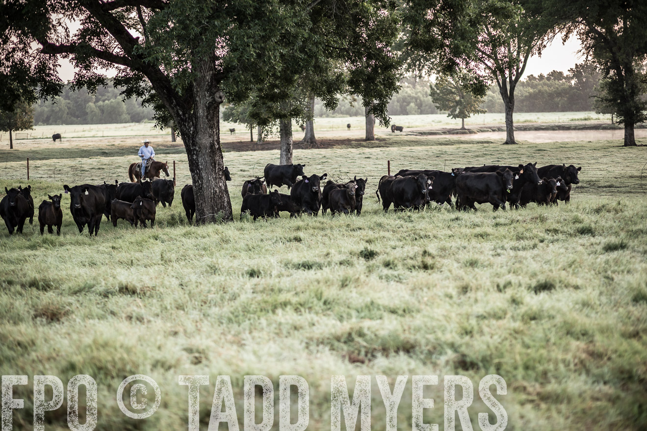 TMyers_CameronTX_June2016-5881