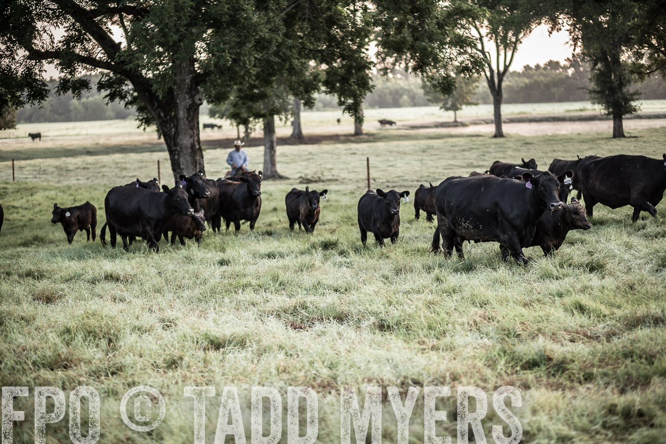 TMyers_CameronTX_June2016-5886