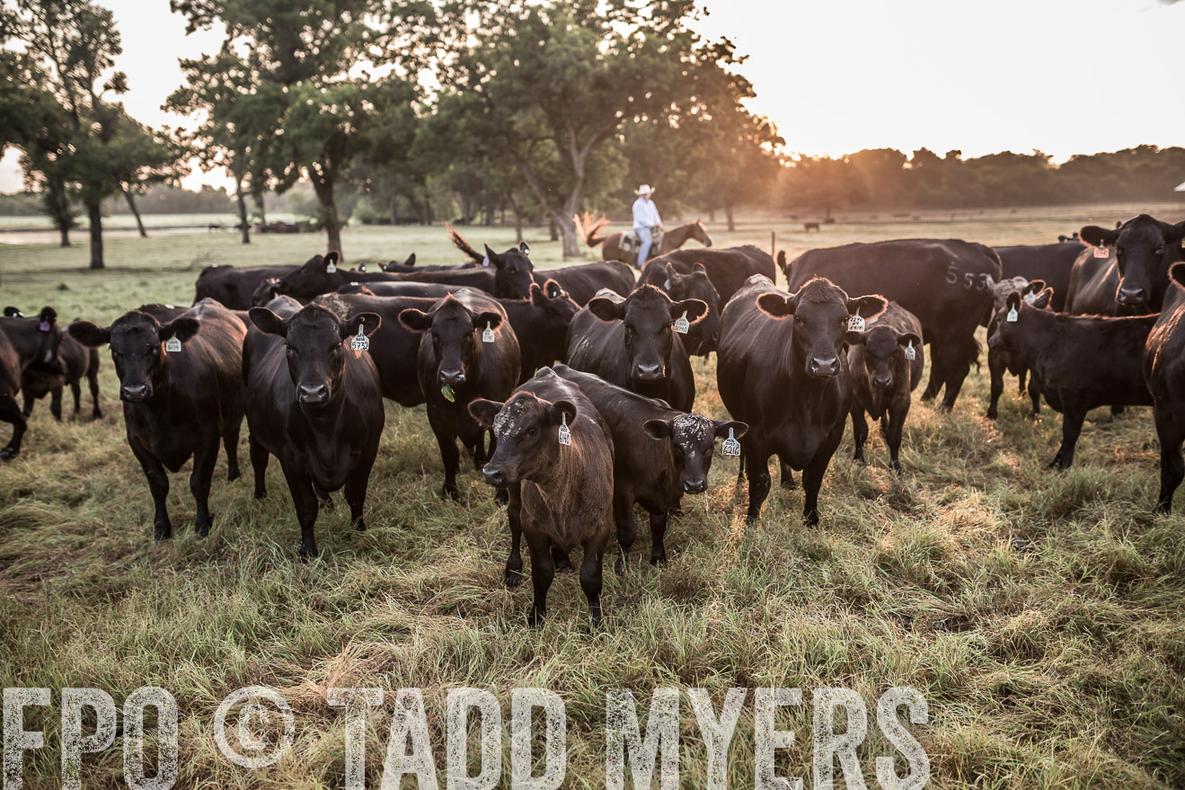 TMyers_CameronTX_June2016-5949