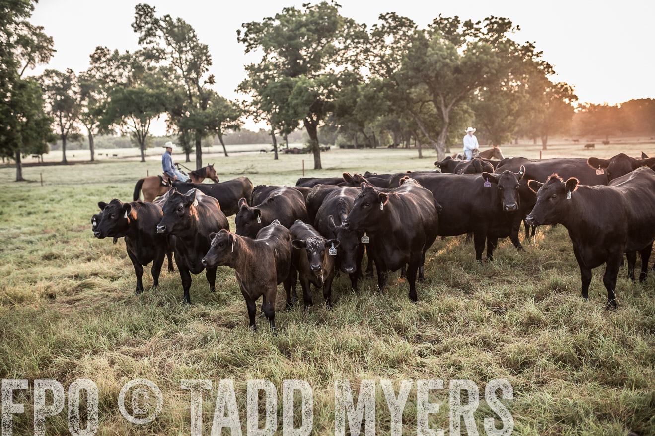 TMyers_CameronTX_June2016-5955