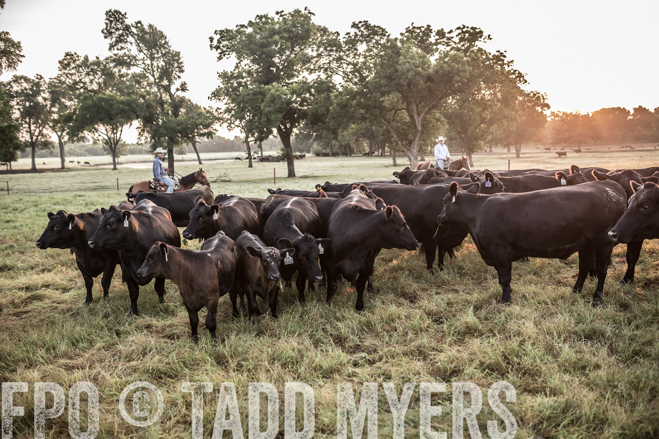 TMyers_CameronTX_June2016-5958