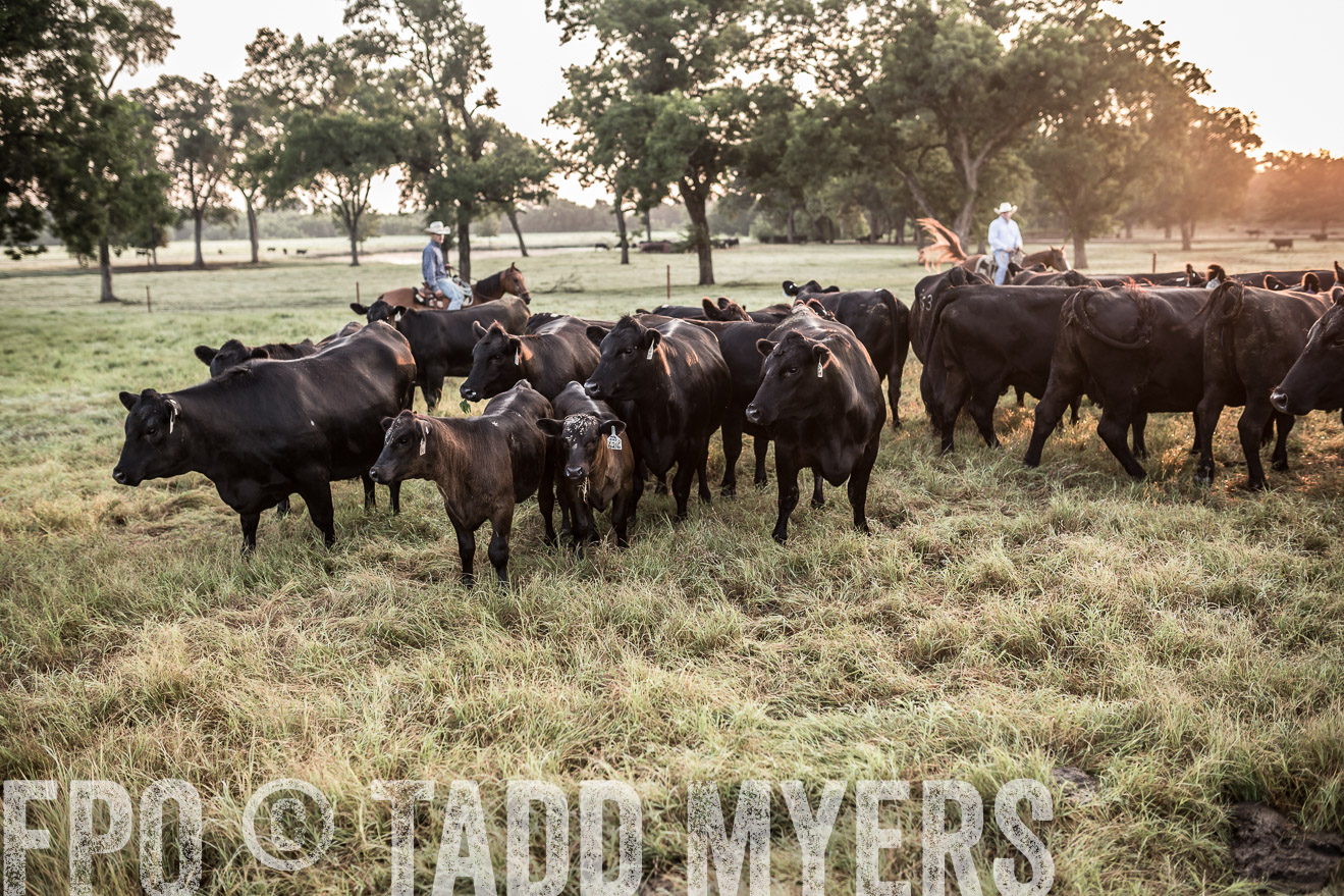 TMyers_CameronTX_June2016-5961