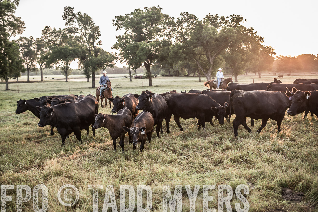 TMyers_CameronTX_June2016-5963