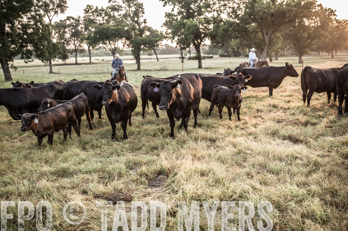 TMyers_CameronTX_June2016-5967