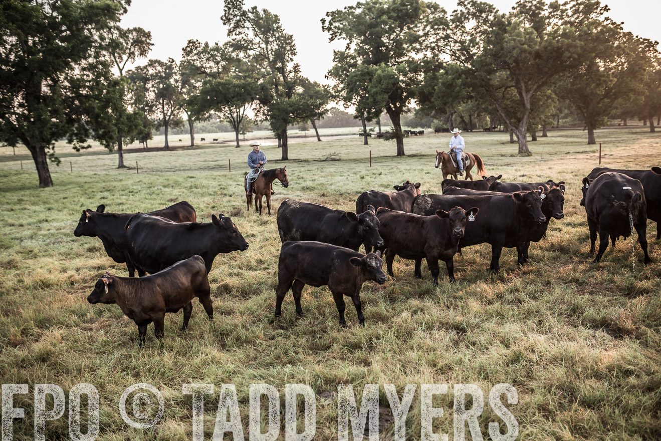 TMyers_CameronTX_June2016-5978