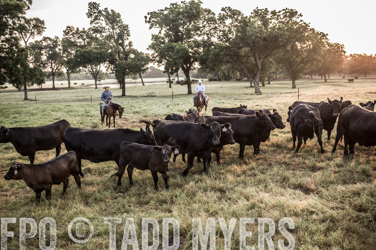 TMyers_CameronTX_June2016-5982