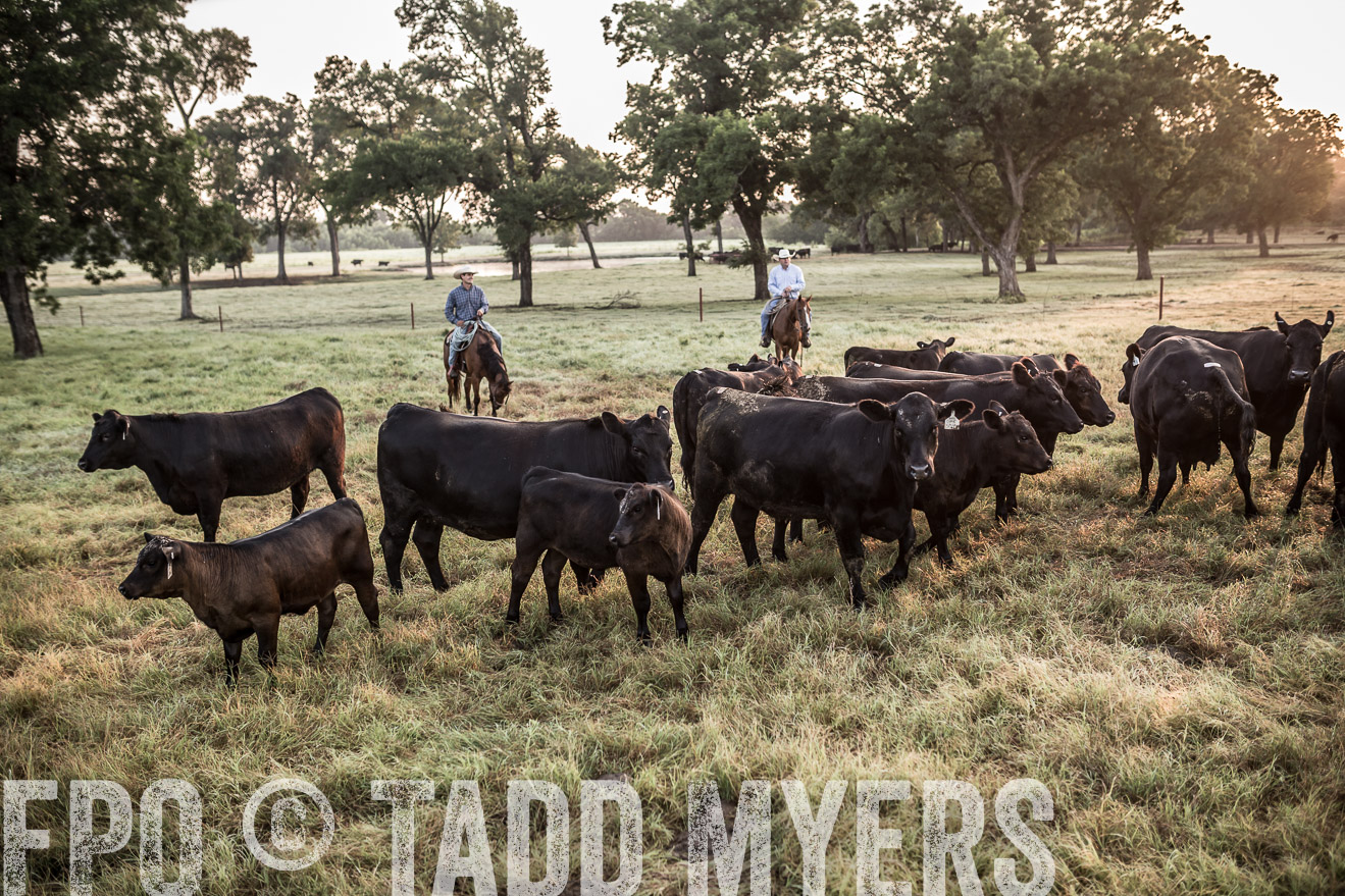 TMyers_CameronTX_June2016-5984