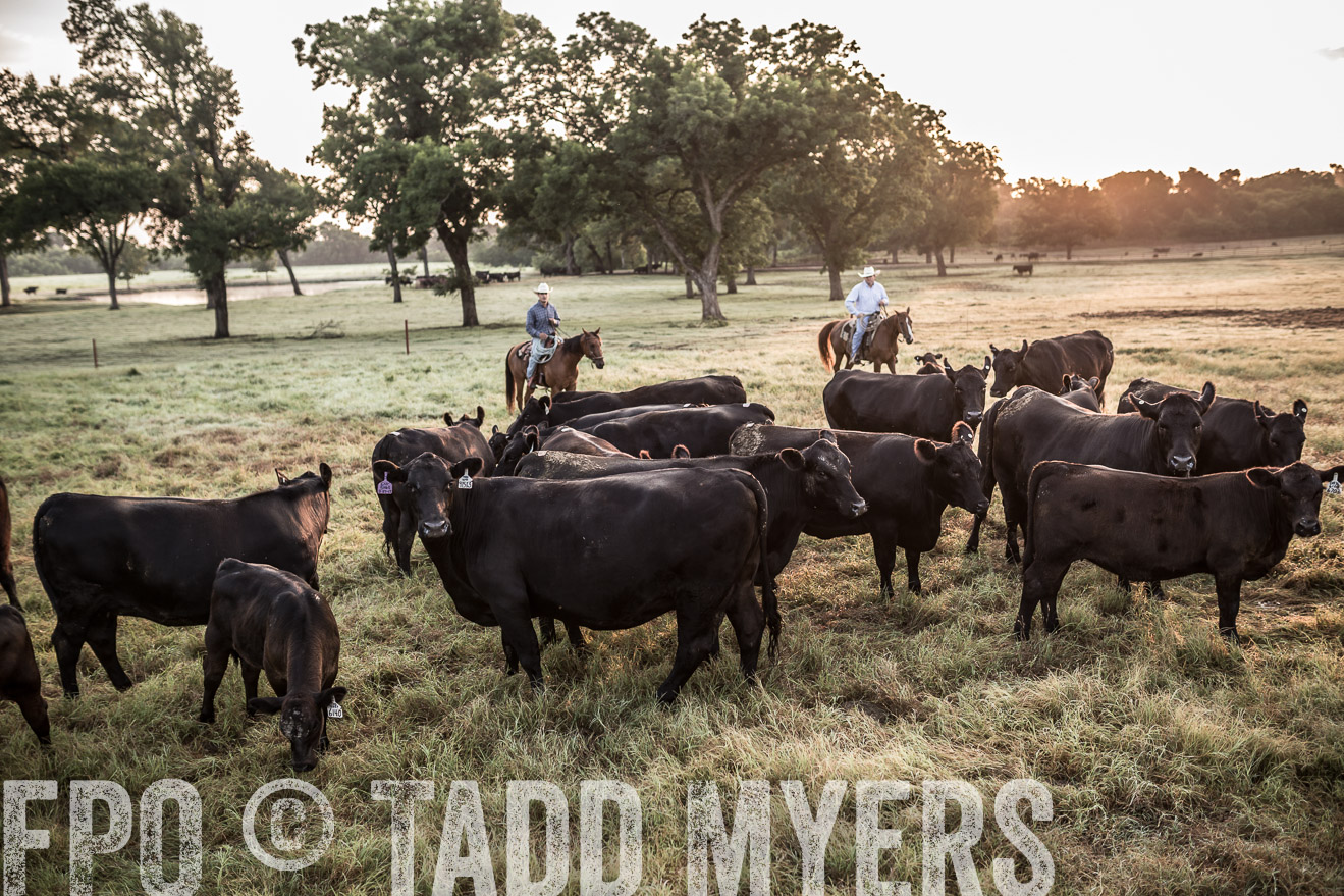 TMyers_CameronTX_June2016-5991