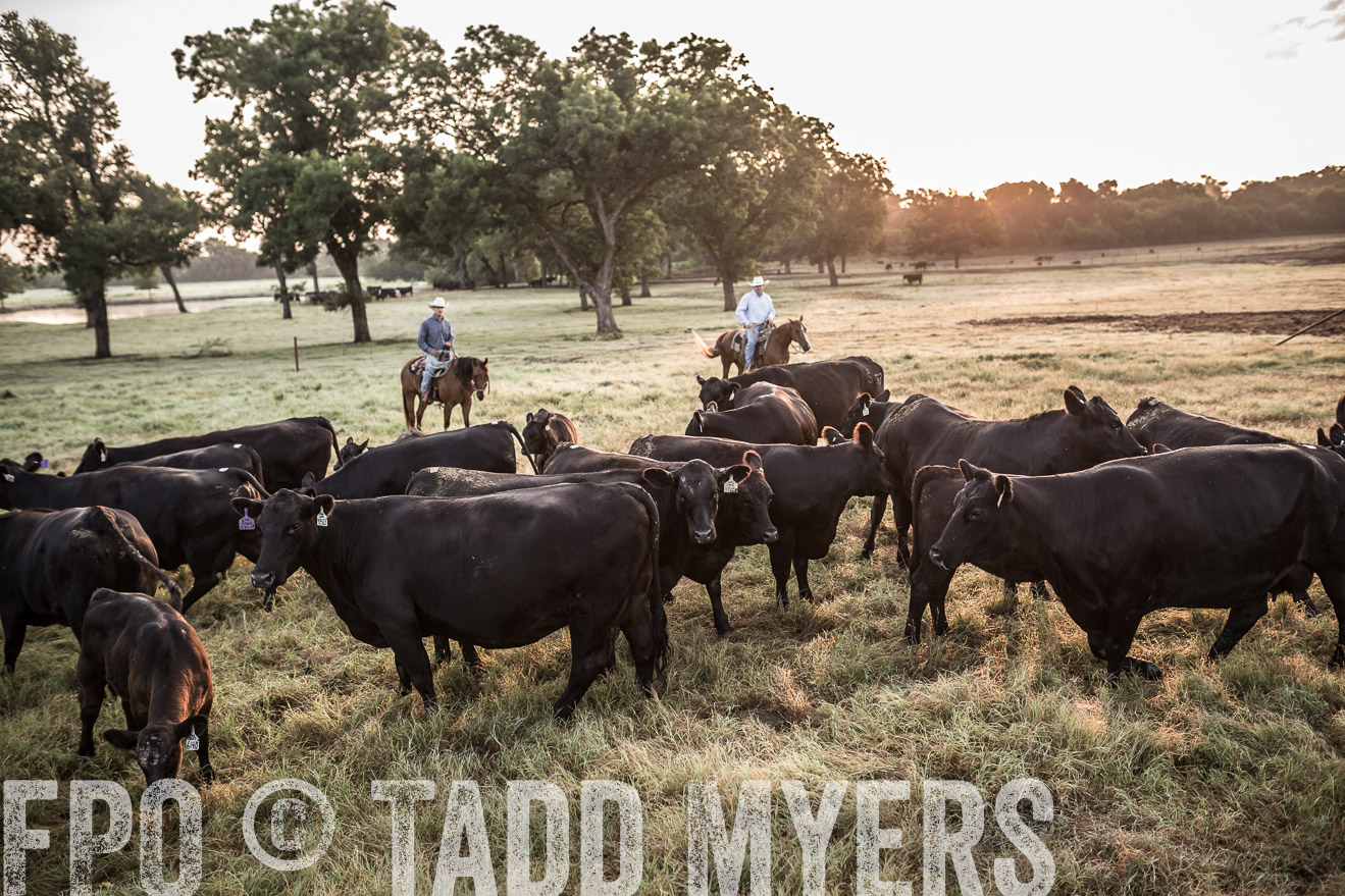 TMyers_CameronTX_June2016-5997