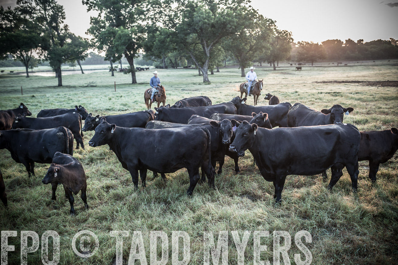 TMyers_CameronTX_June2016-6001