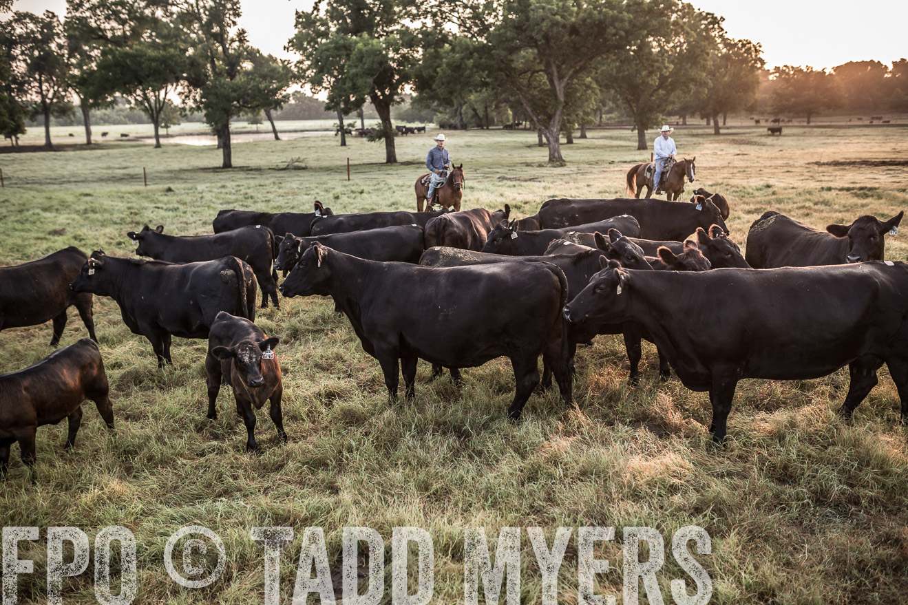 TMyers_CameronTX_June2016-6003
