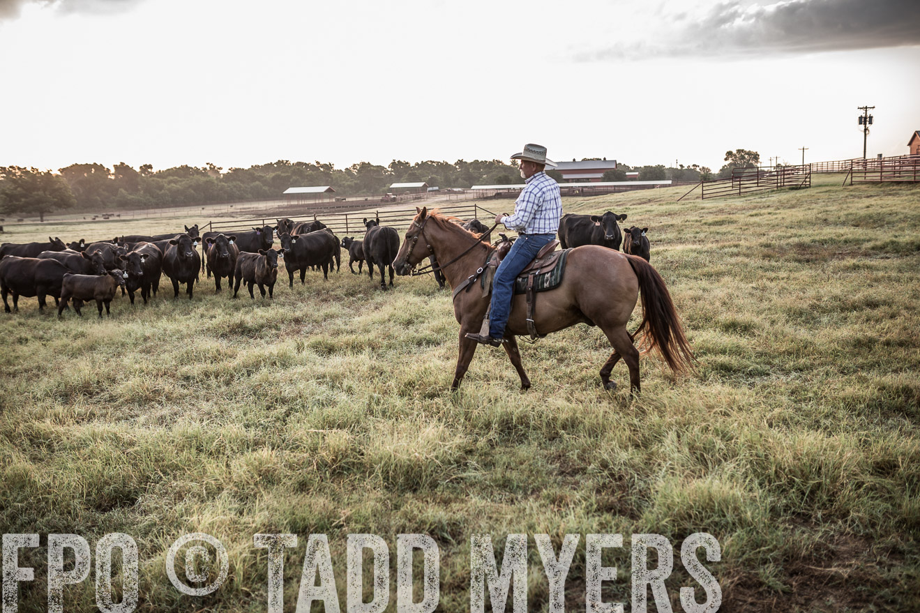 TMyers_CameronTX_June2016-6008