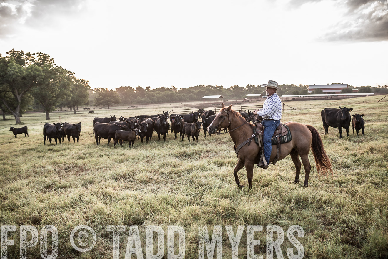 TMyers_CameronTX_June2016-6010
