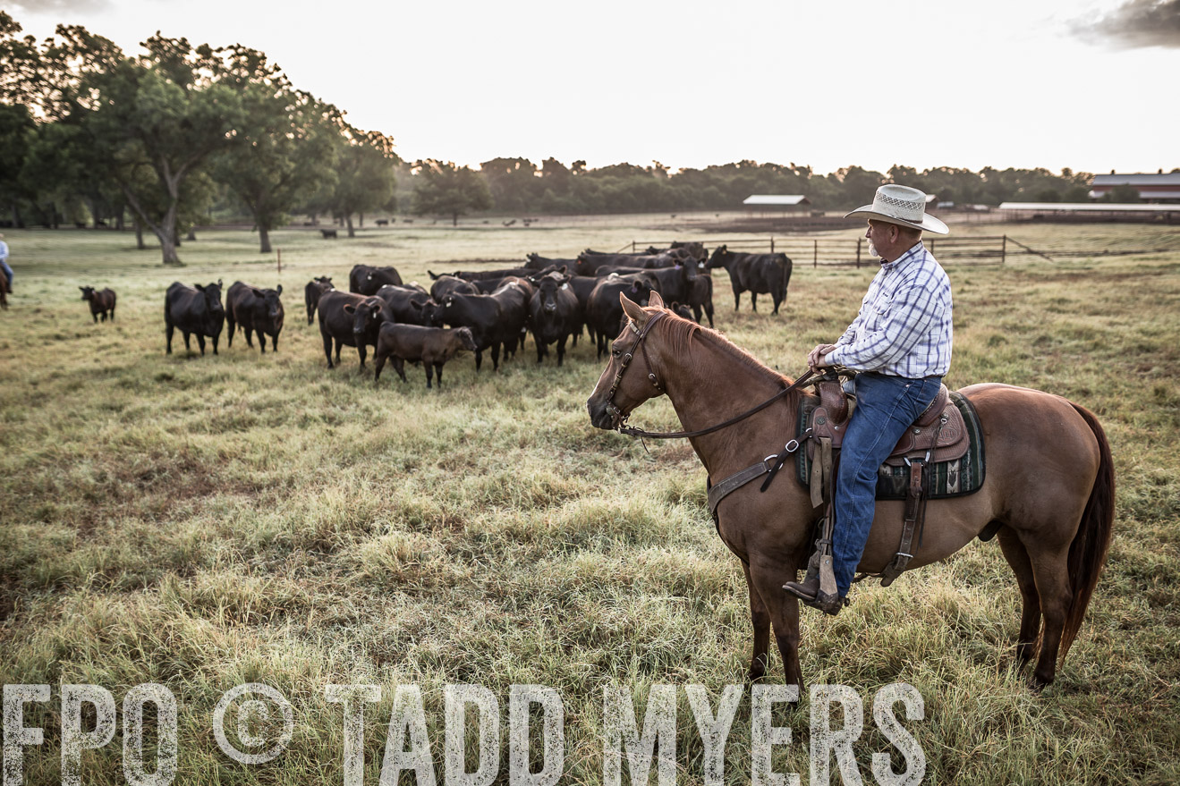 TMyers_CameronTX_June2016-6018