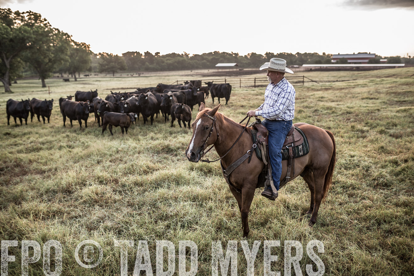 TMyers_CameronTX_June2016-6026