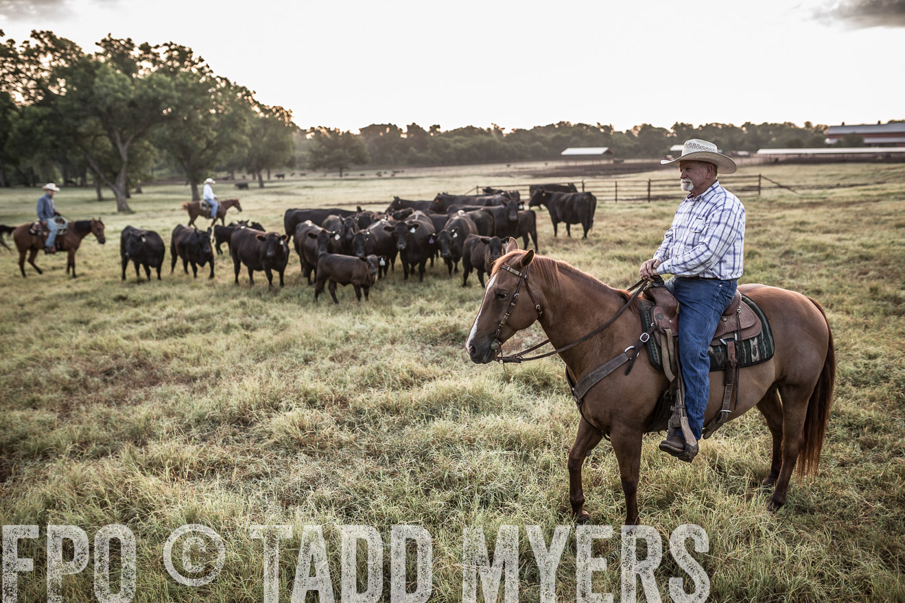 TMyers_CameronTX_June2016-6033