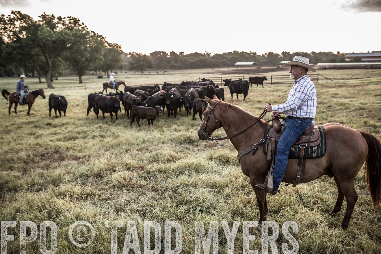 TMyers_CameronTX_June2016-6037