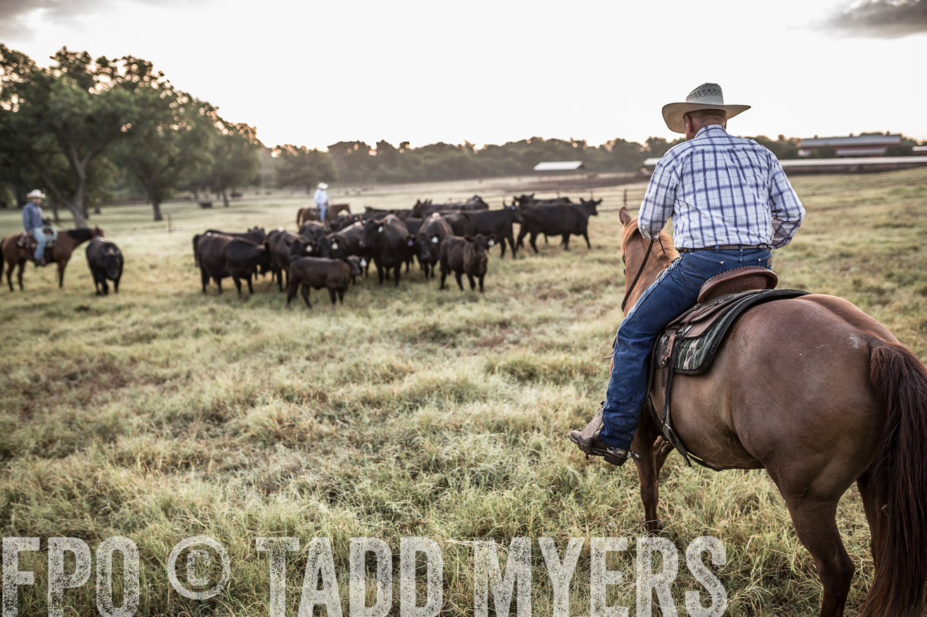 TMyers_CameronTX_June2016-6041