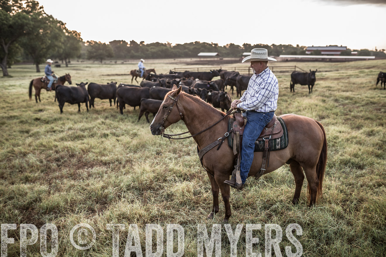TMyers_CameronTX_June2016-6048