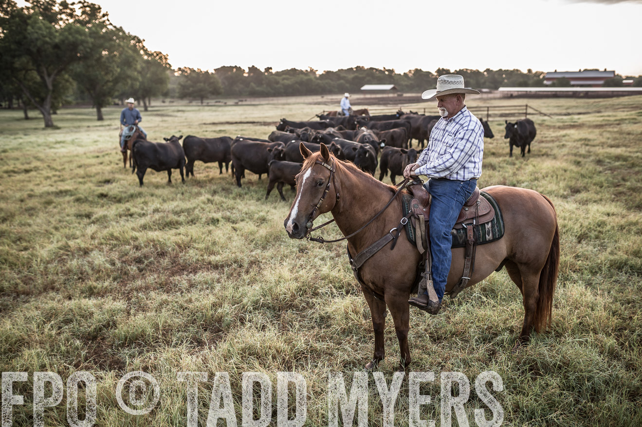 TMyers_CameronTX_June2016-6058
