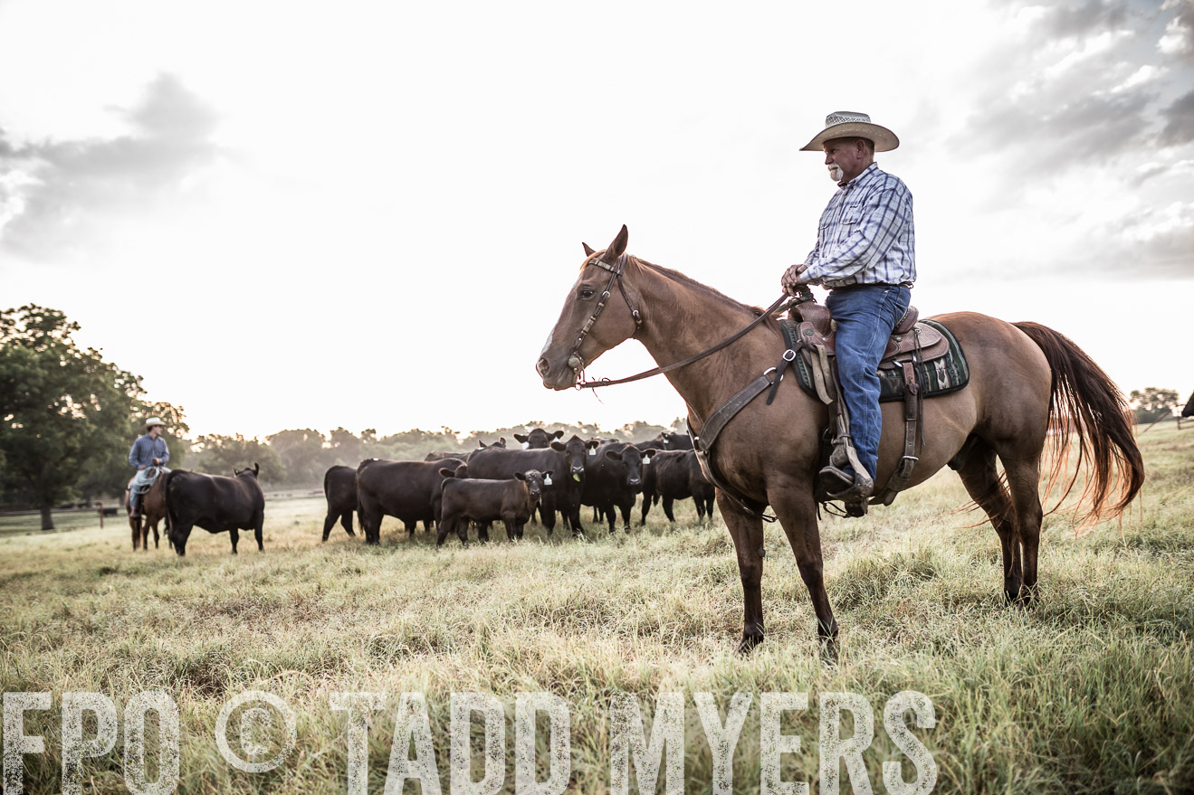 TMyers_CameronTX_June2016-6061