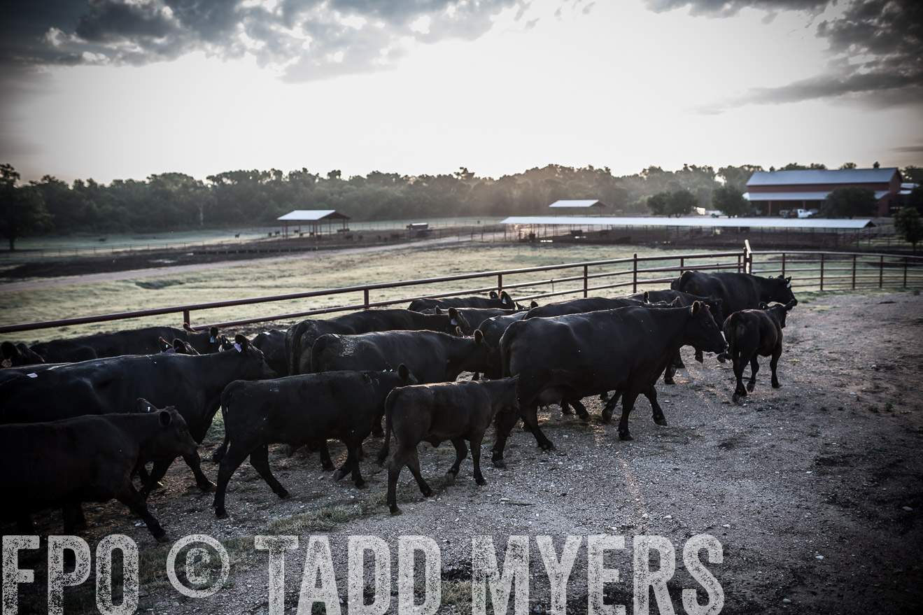 TMyers_CameronTX_June2016-6191