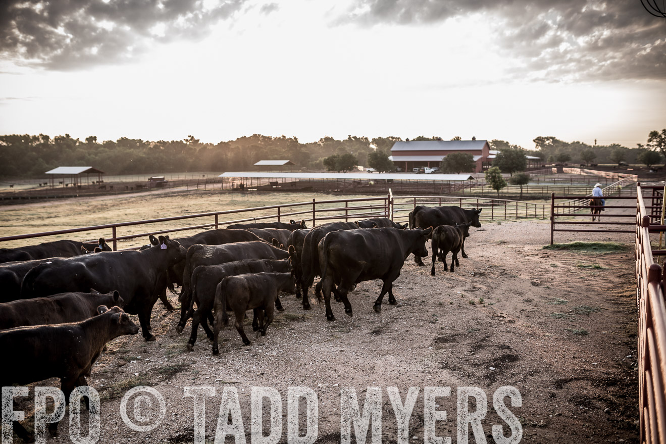 TMyers_CameronTX_June2016-6195