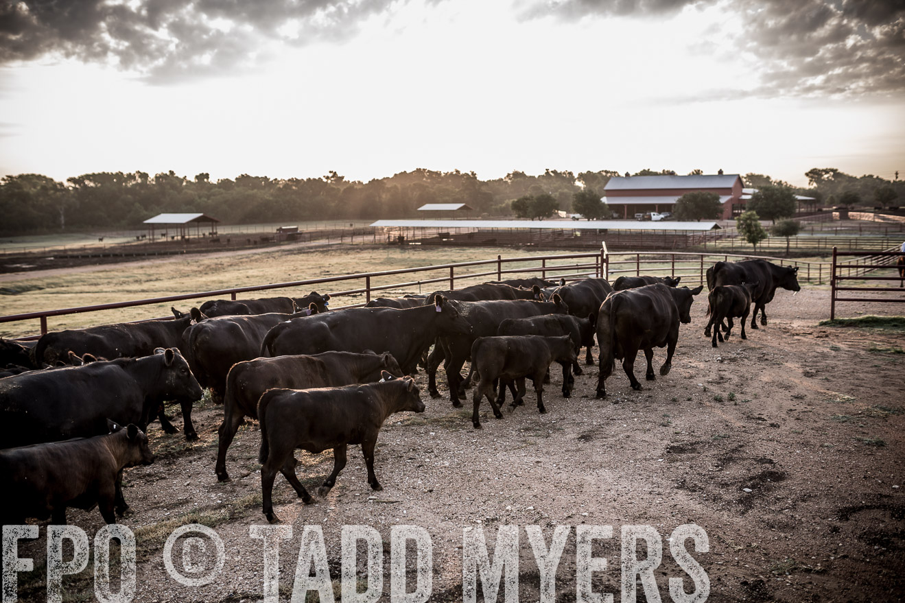 TMyers_CameronTX_June2016-6197