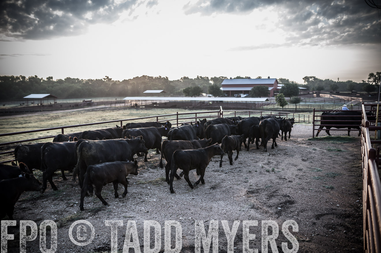 TMyers_CameronTX_June2016-6201
