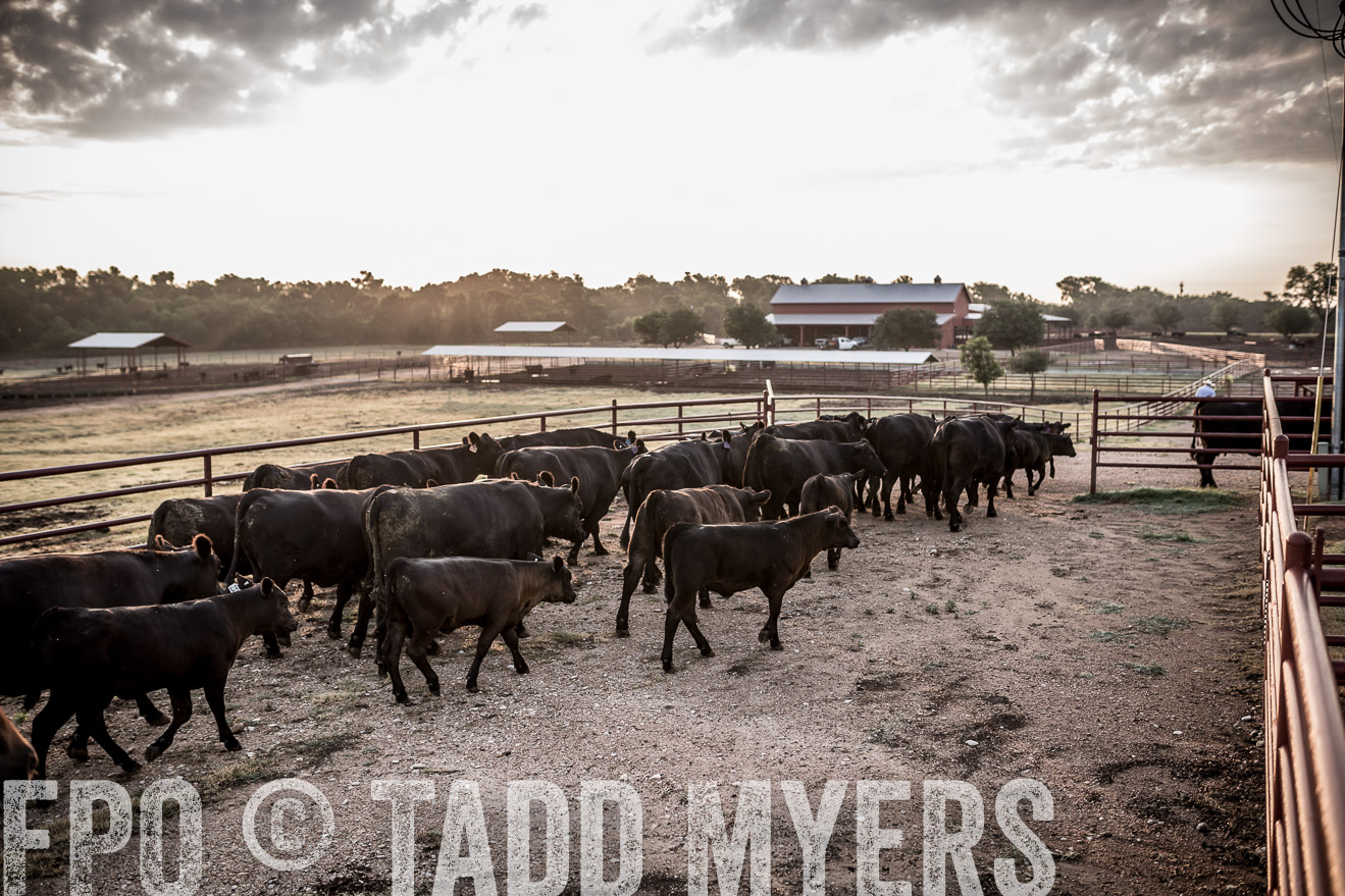 TMyers_CameronTX_June2016-6204