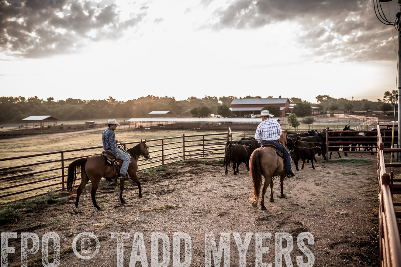 TMyers_CameronTX_June2016-6218