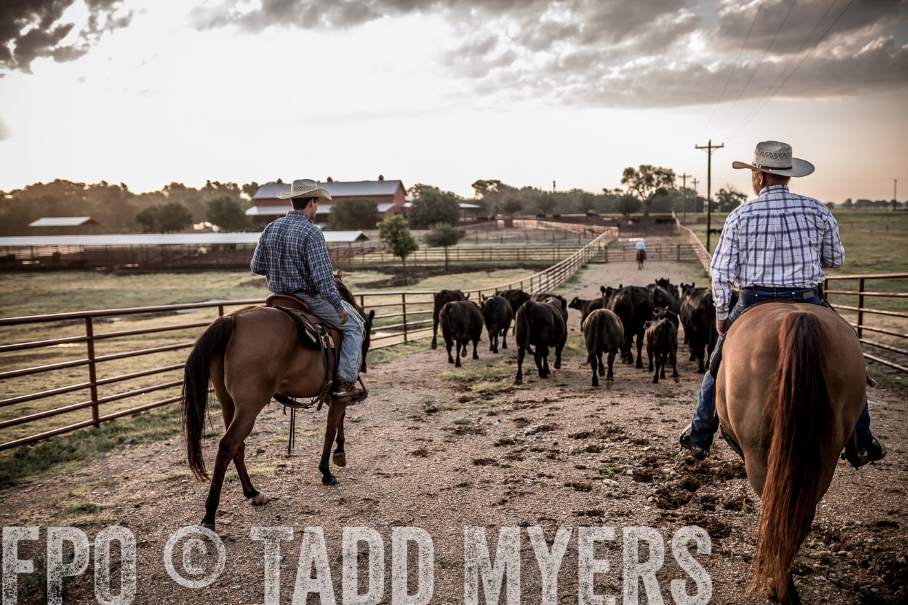 TMyers_CameronTX_June2016-6231