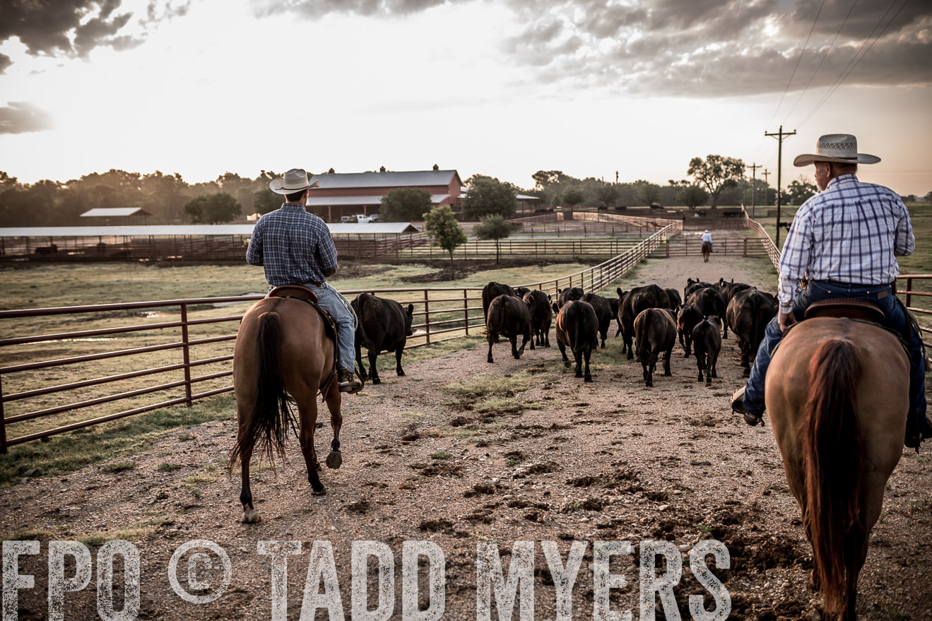 TMyers_CameronTX_June2016-6234