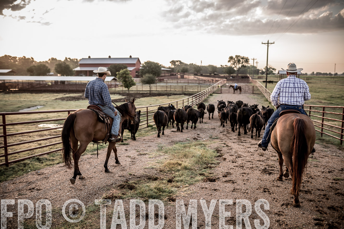 TMyers_CameronTX_June2016-6239